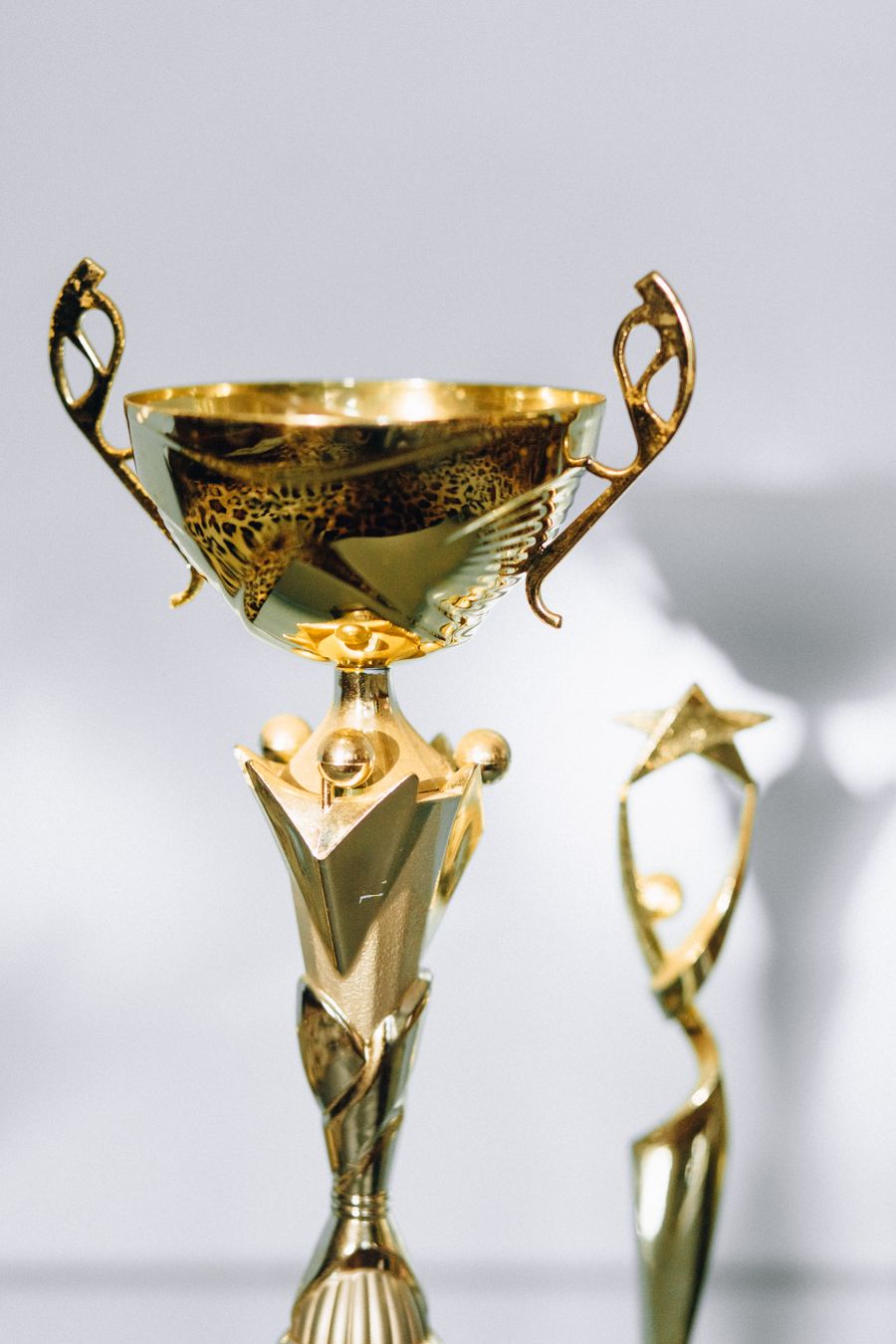 Trophy awarded to state and national level student achievers